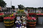 Dcim10042/DSC_5326