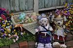 Dcim10042/DSC_5355