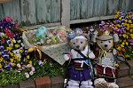 Dcim10042/DSC_5356