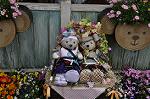 Dcim10042/DSC_5360