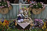 Dcim10042/DSC_5363