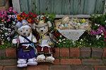 Dcim10042/DSC_5366