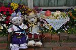 Dcim10042/DSC_5370
