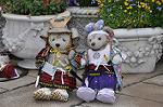 Dcim10043/DSC_5481