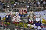 Dcim10043/DSC_5495