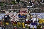 Dcim10043/DSC_5500