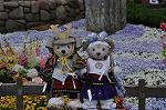 Dcim10043/DSC_5504