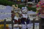 Dcim10043/DSC_5507
