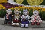 Dcim10043/DSC_5518
