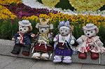 Dcim10043/DSC_5519