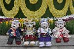Dcim10043/DSC_5535