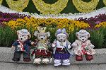 Dcim10043/DSC_5538