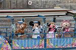 Dcim10055/DSC_3255