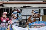 Dcim10055/DSC_3320
