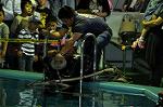 Dcim10060/DSC_7600