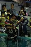 Dcim10060/DSC_7607