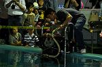 Dcim10060/DSC_7610