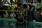 Dcim10060/DSC_7611