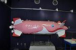 Dcim10061/DSC_7852
