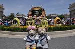 Dcim10064/DSC_8161