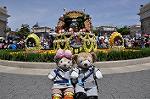 Dcim10064/DSC_8166
