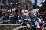 Dcim10064/DSC_8220