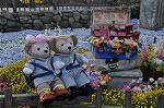 Dcim10071/DSC_9193