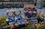 Dcim10071/DSC_9199