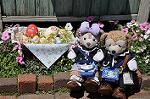 Dcim10078/DSC_0003