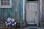 Dcim10078/DSC_0077