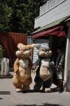 Dcim10078/DSC_0101
