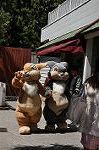 Dcim10078/DSC_0103