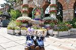 Dcim10079/DSC_0171