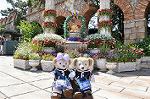 Dcim10079/DSC_0172