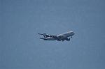 Dcim10081/DSC_0445