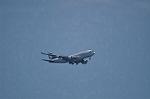 Dcim10081/DSC_0446