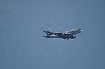 Dcim10081/DSC_0449