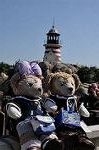 Dcim10081/DSC_0466