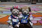 Dcim10093/DSC_1962