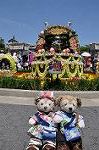 Dcim10093/DSC_1966