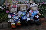 Dcim10094/DSC_2209