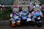 Dcim10094/DSC_2210