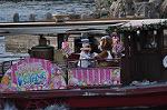 Dcim10095/DSC_2323