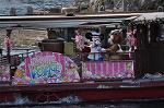 Dcim10095/DSC_2324