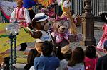 Dcim10097/DSC_2626