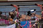 Dcim10097/DSC_2653