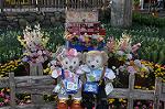 Dcim10098/DSC_2784