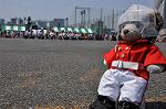 Dcim10126/DSC_6276