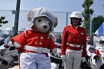 Dcim10127/DSC_6334