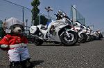 Dcim10127/DSC_6367